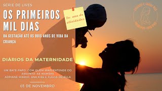 Diários da Maternidade