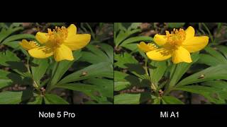 Xiaomi Redmi Note 5 Pro Vs Xiaomi Mi A1 Camera Test