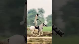 horse riding full speed #shorts #youtubeshorts #horse واہ جوانی واہ