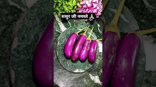 पति पत्नी और ससुर.... 😂😂#shorts #trending #food #brinjal #comedy #fun #funny