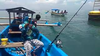 Abu Garcia JIGGERNAUT Mancing Kakap hitam  5 kg up spot krundung Cilacap