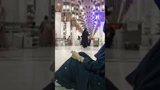 Oo mera nabi hai 🕋☝🏼🥰#masallah #love #allah #subscribemychannel #shortvideo 😘❤️#reels 🧕🏼