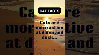 Fascinating Cat Facts!"