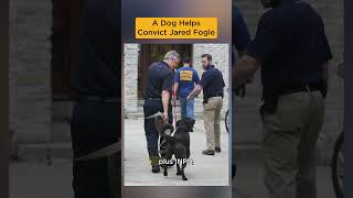 ESD K9 Helps Convict Jared Fogle