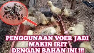 PENGHEMATAN VOER UNTUK ANAK ENTOK HASIL MANTAP