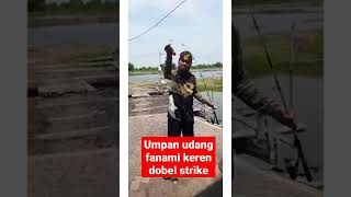 umpan udang fanami keren dobel strike @djviralindonesia60