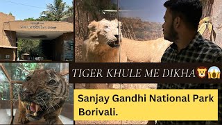 Ultimate Vlog: Tiger Safari at Sanjay Gandhi National Park