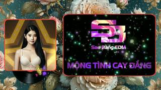 MỘNG TÌNH CAY ĐẮNG | NHẠC EDM TOP TIKTOK HAY NHẤT GÂY NGHIỆN