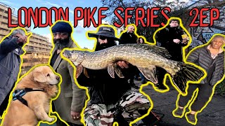 LONDON PIKE SERIES: Many PEOPLE were IMPRESSED about the last FISH I have CAUGHT!! - Limehouse cut