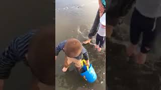 Baby playing on the beach