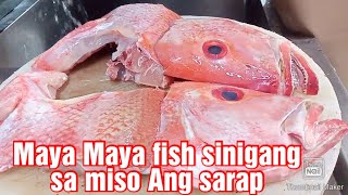 #Maya Maya fish #sinigang sa #miso Asim kilig