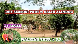 DRY SEASON: PART 2: BALIK ALINDOG BY ANGEL, WALKING TOUR @ U.P.