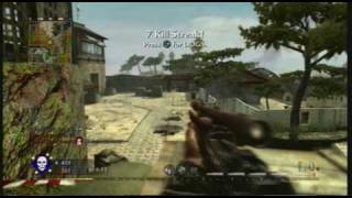 Call of Duty 5 . 28-3 *Castle*