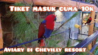 AVIARY DI CHEVILLY RESORT AND CAMP || WISATA DAN CAFE CHEVILLY