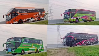 Hunting Bus Edisi Libur Nataru | banyak Bus Pariwisata melintas di Tol Transjawa