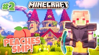 Minecraft Peaches SMP! #2