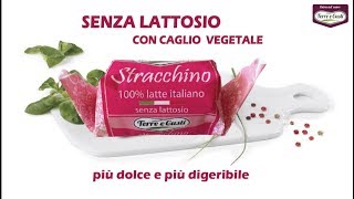 Spot Terre e Gusti Stracchino Senza Lattosio