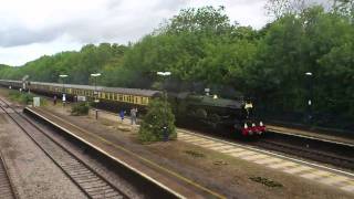 Earl of Mount Edgecombe at Tilehurst