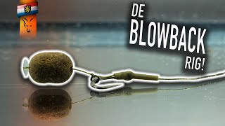 De favoriete rig van Mark Pitchers | Hoe knoop je de blowback rig | Karpervissen