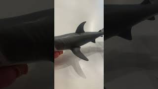 Акула кусила за палец 😂 🦈 #акула #shark