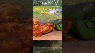 Fishing & grilling at the river #fish #fishing #catfish #explore