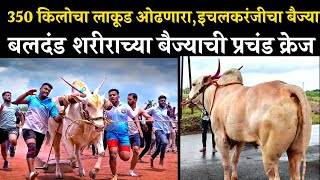 वेगाचा बादशाह 'बैज्या' |vegacha badshah baijya