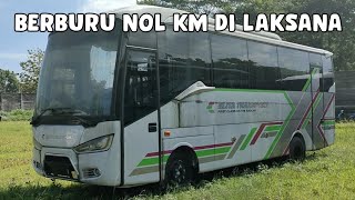 Beli Medium Bus Baru di Laksana