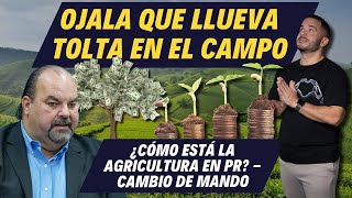 OJALA QUE LLUEVA TOLTA EN EL CAMPO - ¿CÓMO ESTÁ LA AGRICULTURA EN PR? - CAMBIO DE MANDO