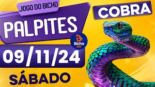 PALPITE DO DIA 09/11/2024 - JOGO DO BICHO 🍀 TODAS AS LOTERIAS 🍀