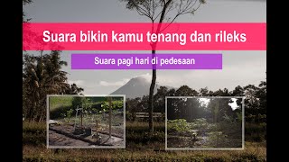 ASMR Suasana yang kamu denger di desa saat pagi hari