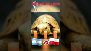 argentina vs poland #fifaworldcup2022 #shorts