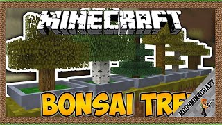 Bonsai Tree Crops Mod 1.12.2/1.10.2 & Tutorial Downloading And Installing For Minecraft