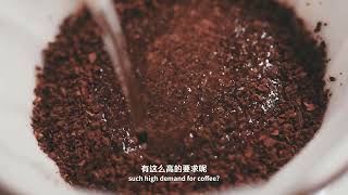 Specialty Coffee & Ceremonial Matcha | Food Psychology 食物心理學