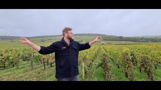 Gevrey Chambertin 1er Cru 'Les Combottes' - The French Wine Centre