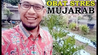 Manfaat Berkebun, Kamu Harus Tau!