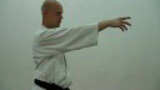 Qi Chi energy exercise: Pointing