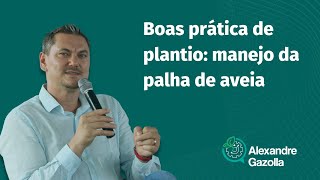 Alexandre Gazolla | Boas práticas de plantio: manejo da palha de aveia