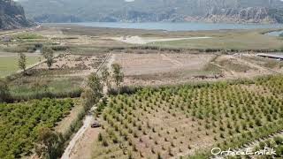 Dalyan'da 9462m2 Nar Bahçesi Satılıktır