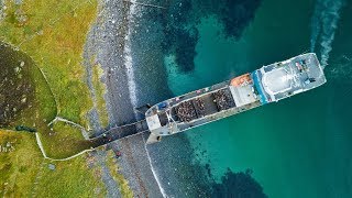 Frakt av reinsdyr med Maursund