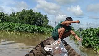 Mưa Gió Liên Tục, Không Làm Gì Được, Phải Ra Sông Giăng Lưới Kiếm Cá, Cải Thiện Bữa Cơm