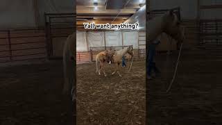 I got you😮‍💨#shorts #fyp #viral #horses #countryboys #shortvideos #shortsviral