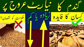 Wheat price in Punjab Pakistan 2022 | Wheat support update price  in Pakistan 2022