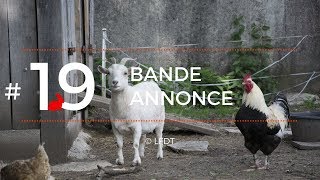 BANDE ANNONCE │LFDT #19