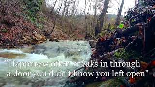 river beautiful nature| solitude place