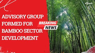 Advisory group formed for bamboo sector development