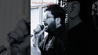 Aj Bhi Zainab Ki Ati Hai Sada Bhai Hussain Mir Hasan Mir Azadari Pursa Noha #mirhasanmir #mhm #reels