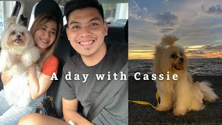 Vlog • A day with Cassie 🐶 | TEAM KD Official