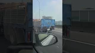 Funny and Clever License Plate We've Seen while driving #Taiwan #truck #randomvideo #traveldiaries