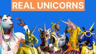 Introducing REAL UNICORNS (Tech Show)