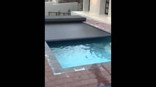 Armadillo pool cover